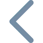 Chevron Left SVG Icon